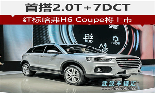 哈佛,H6 Coupe,哈佛车迷